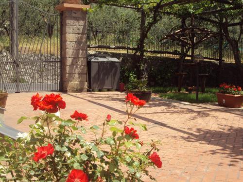 Bellaria Relais Bed & Breakfast Piano di Sorrento Dış mekan fotoğraf